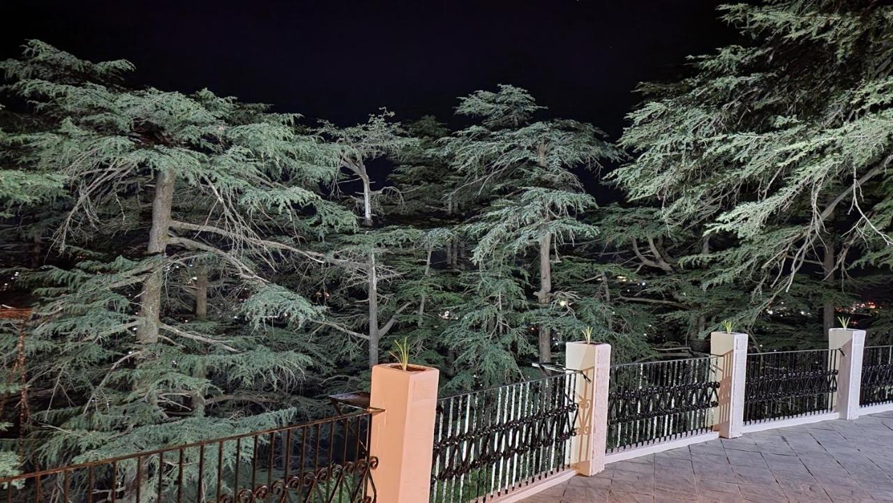 Glen View Heritage Homestay 西姆拉 外观 照片