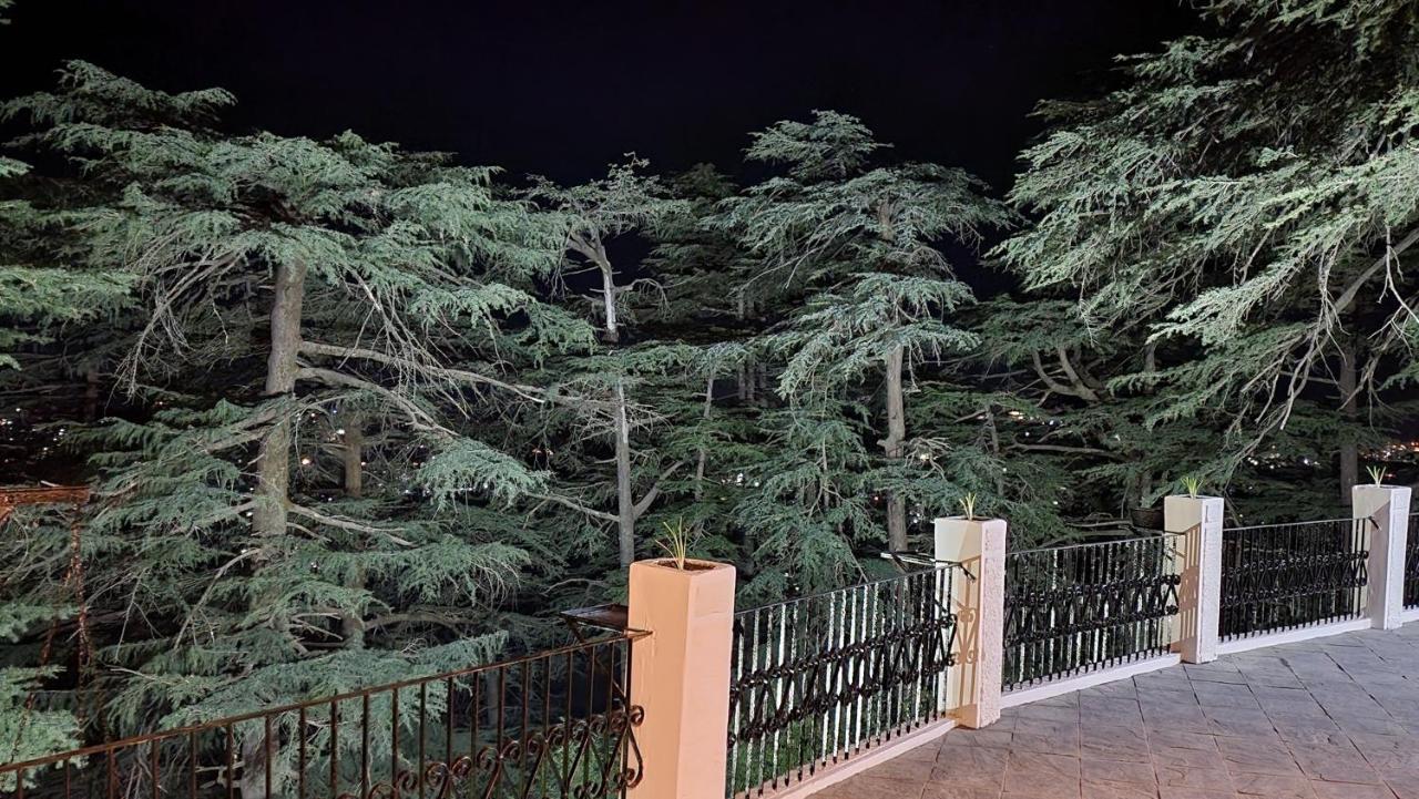 Glen View Heritage Homestay 西姆拉 外观 照片
