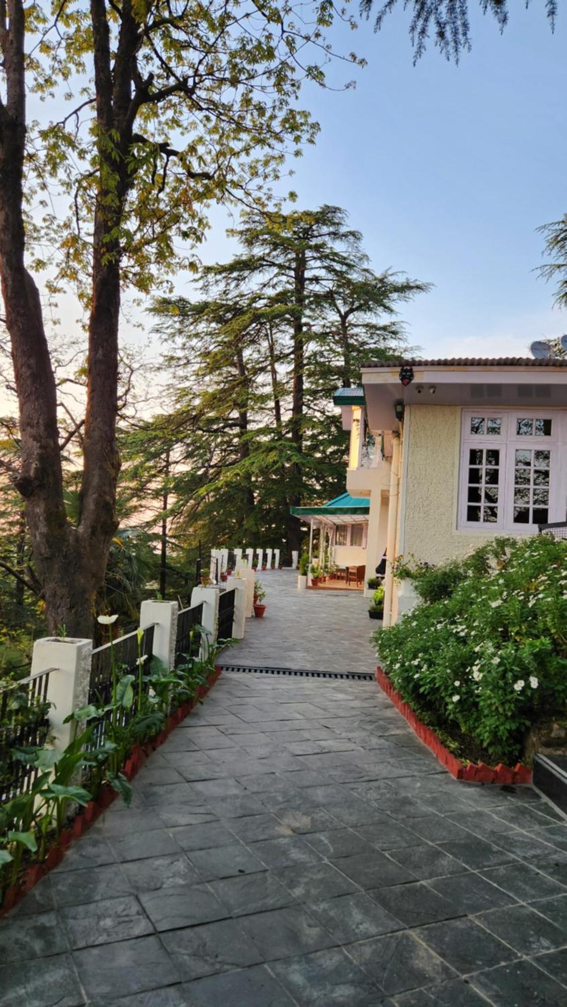 Glen View Heritage Homestay 西姆拉 外观 照片