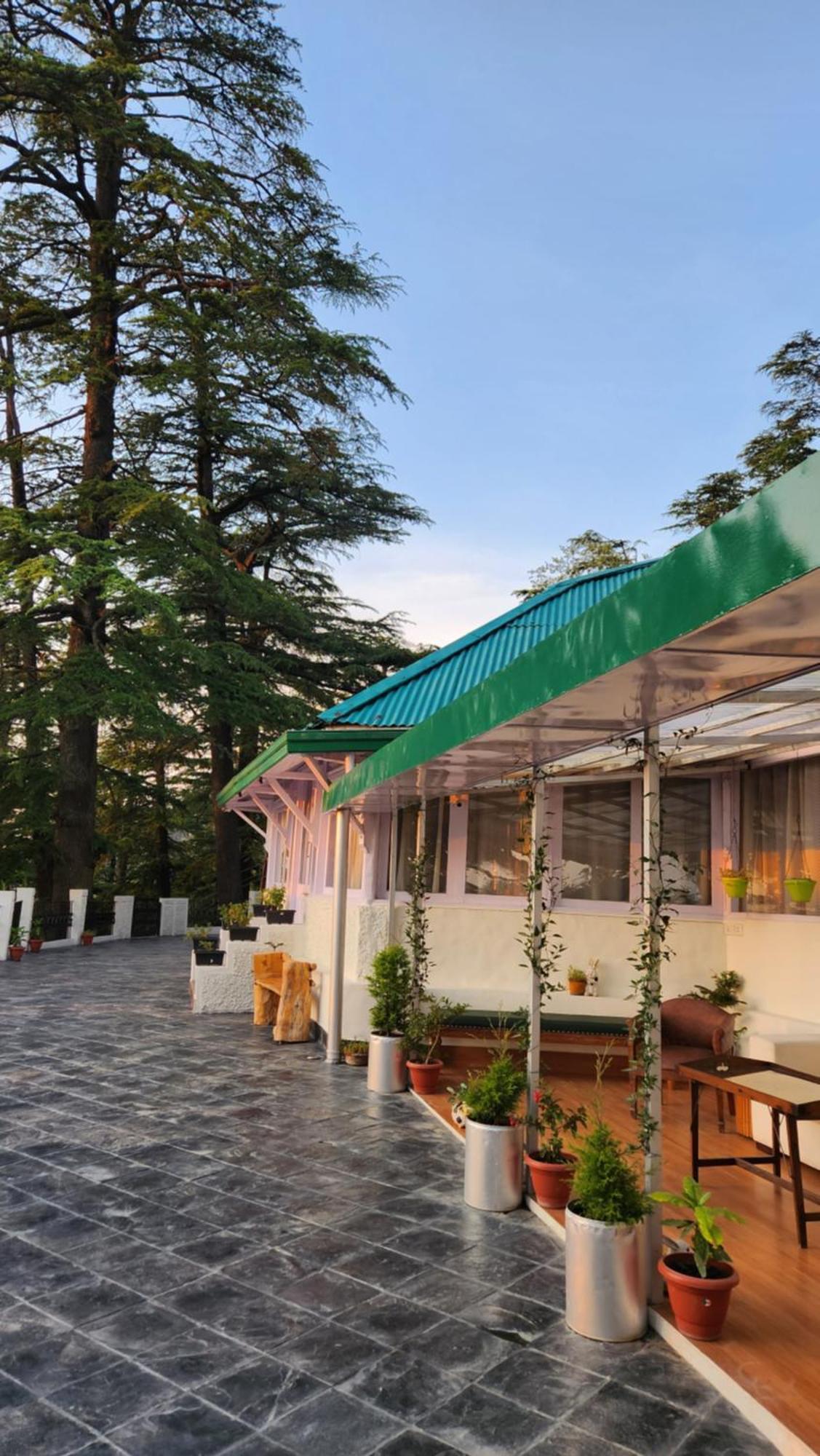 Glen View Heritage Homestay 西姆拉 外观 照片