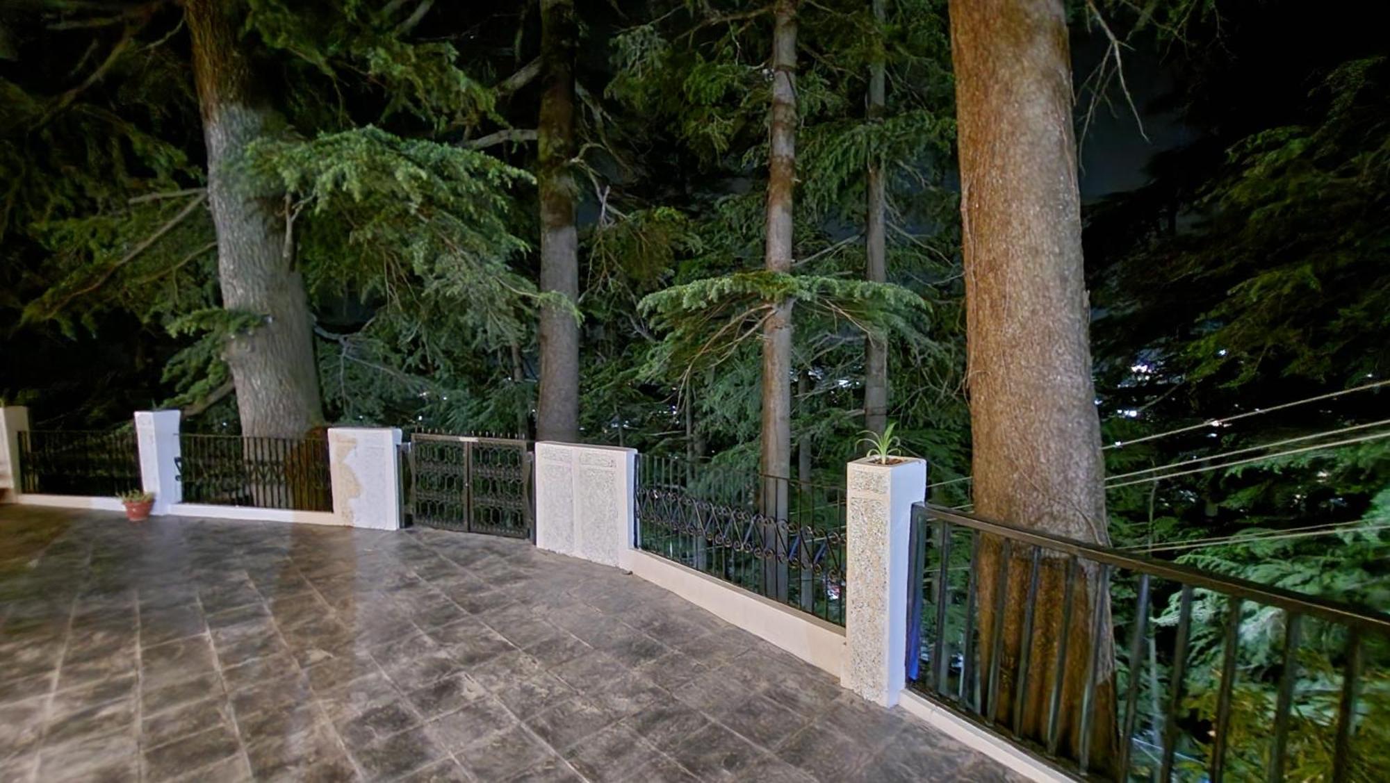 Glen View Heritage Homestay 西姆拉 外观 照片